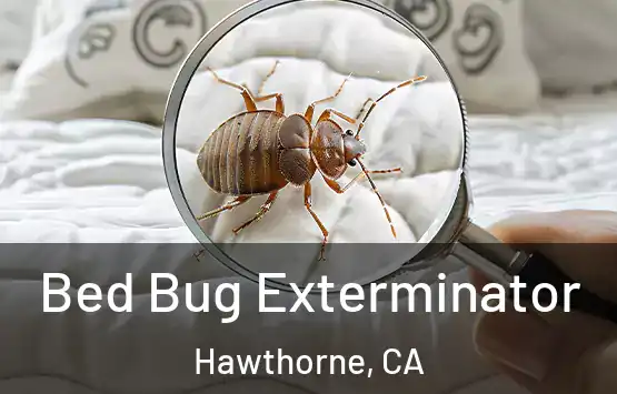  Bed Bug Exterminator Hawthorne, CA