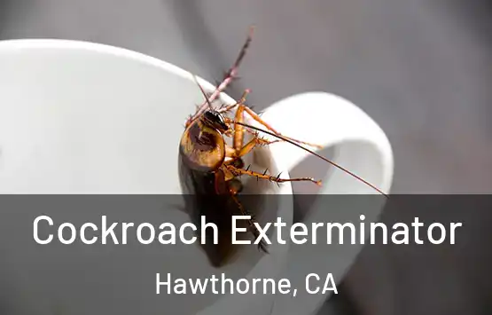 Cockroach Exterminator Hawthorne, CA