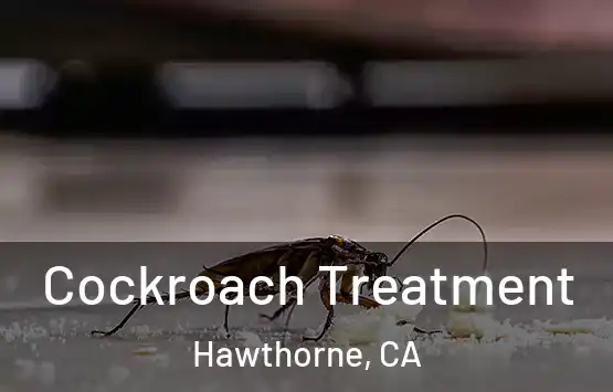  Cockroach Treatment Hawthorne, CA