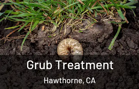  Grub Treatment Hawthorne, CA
