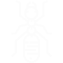 Carpenter Ants Pest Control Hawthorne, CA