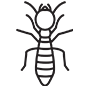Termites Pest Control Hawthorne, California
