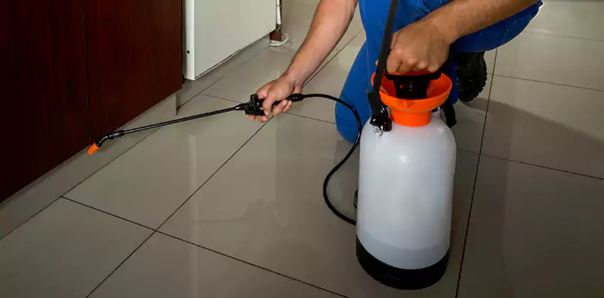 Commercial Pest Extermination for Offices in Hawthorne, CA