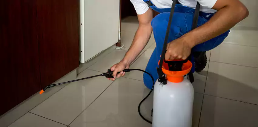 Commercial Flea Exterminator Company in Hawthorne, CA