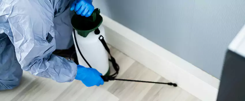 cockroach-exterminator in Hawthorne, CA