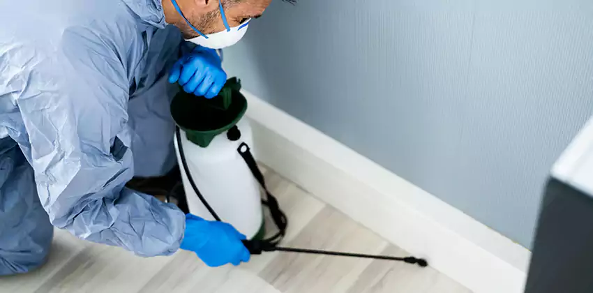 commercial-pest-exterminator in Hawthorne, CA