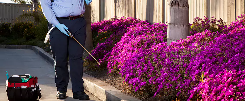 mosquito-exterminator in Hawthorne, CA