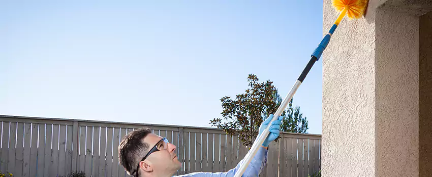 spider-exterminator in Hawthorne, CA