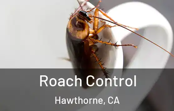  Roach Control Hawthorne, CA