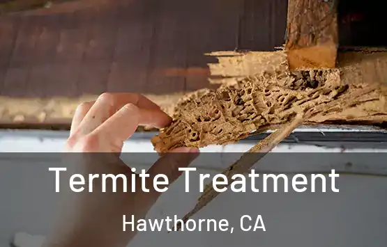  Termite Treatment Hawthorne, CA